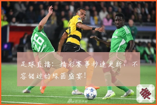 足球直播：精彩赛事秒速更新，不容错过的绿茵盛宴！